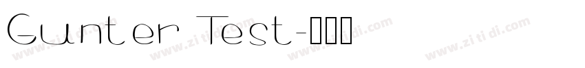 Gunter Test字体转换